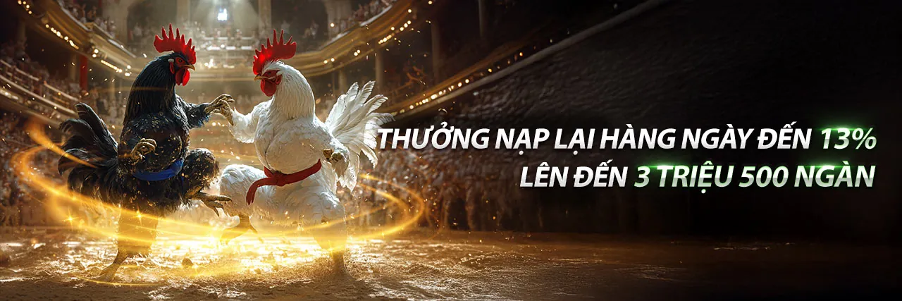 Đá Gà Trực Tuyến b66 thể thao