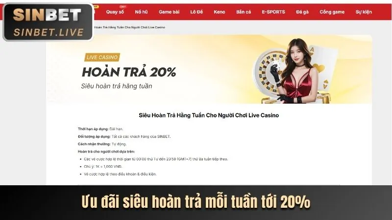 Chương trình VIP b66 thể thao casino
